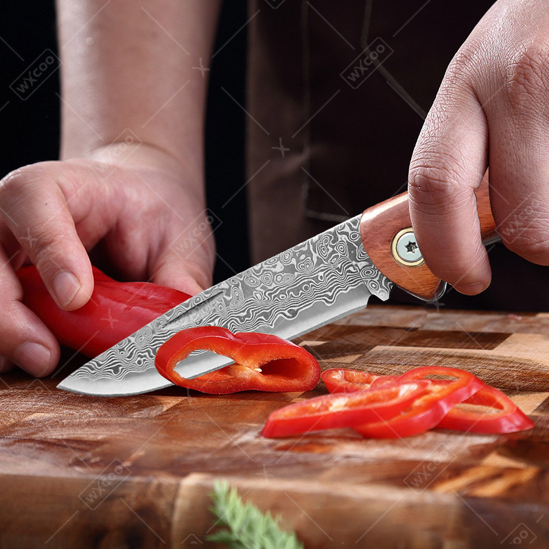 WXCOO มีดพับ มีดพกพา สแตนเลส ส - Camping Cooking Knife บทวิจารณ์และราคา